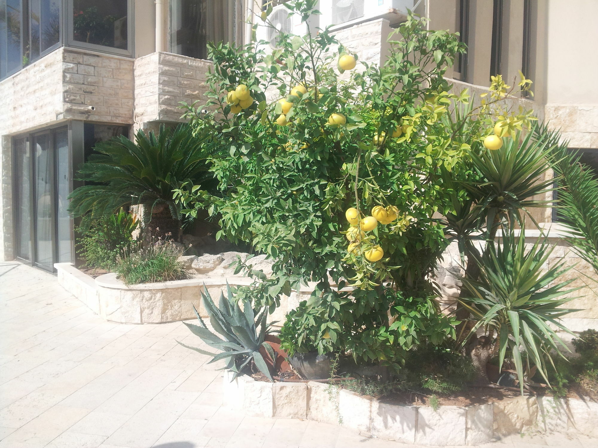 Marom Residence Romema Haifa Kültér fotó